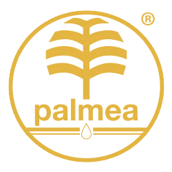 Palmea Palmea